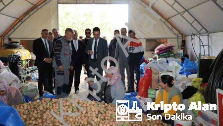 Dinar’da ceviz sezonu açıldı: Üretici rekolteden memnun