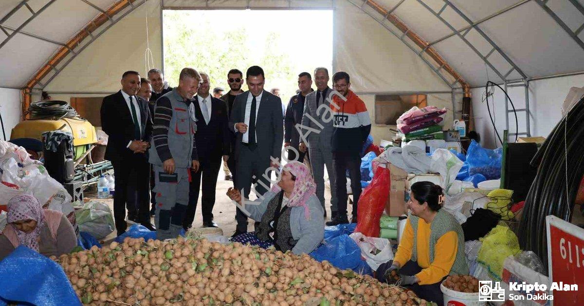 "Dinar’da ceviz sezonu açıldı: Üretici rekolteden memnun" başlıklı haber için fotorealistik, profesy
