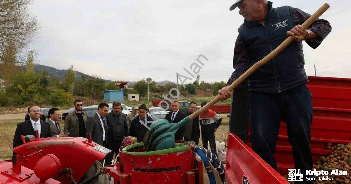 AFYONKARAHİSAR'IN DİNAR İLÇESİNDE CEVİZ HASADI BAŞLARKEN, REKOLTENİN BU YIL ÇİFTÇİLERİ MEMNUN ETTİĞİ BELİRTİLDİ.