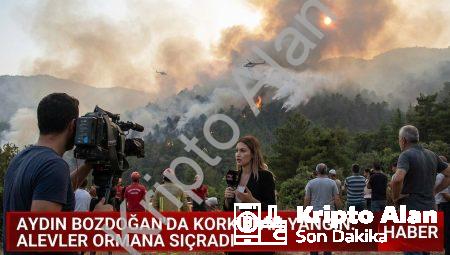 Aydın Bozdoğan’da Korkutan Yangın: Alevler Ormana Sıçradı