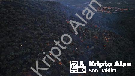 Aydın Bozdoğan’daki Orman Yangınında Sevindiren Gelişme: Alevler Kontrol Altında