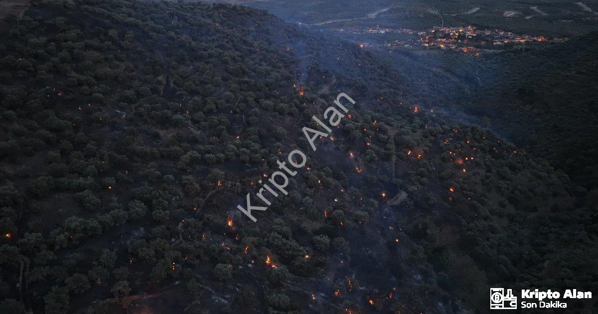 "Aydın Bozdoğan'daki Orman Yangınında Sevindiren Gelişme: Alevler Kontrol Altında" başlıklı haber iç
