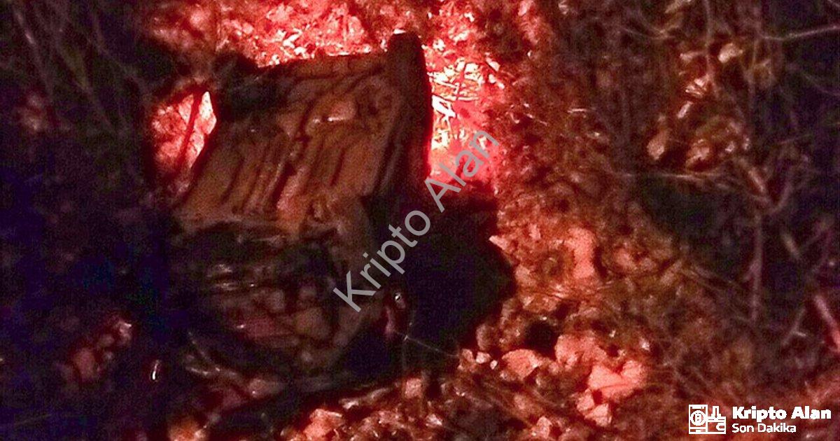 "Muğla Menteşe'de Korkutan Kaza: Araç Dereye Uçtu, 1 Yaralı" başlıklı haber için fotorealistik, prof