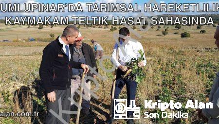 Dumlupınar’da Tarımsal Hareketlilik: Kaymakam Teltik Hasat Sahasında