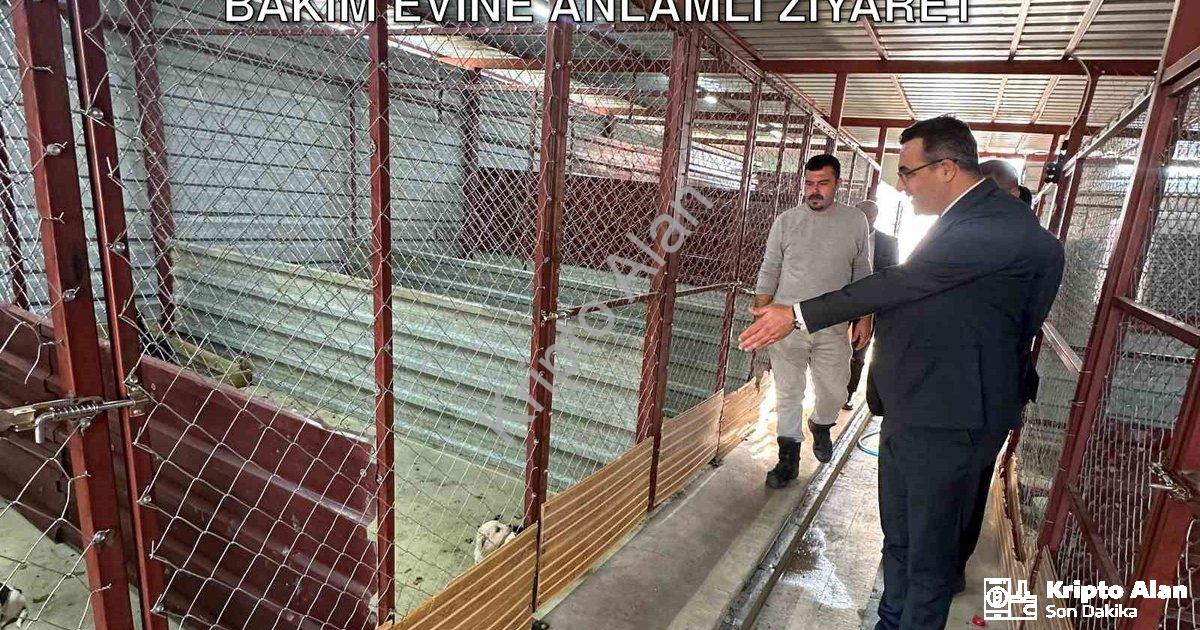 "Sarıgöl Kaymakamı Halil Dalak'tan Hayvan Bakım Evine Anlamlı Ziyaret" başlıklı haber için fotoreali