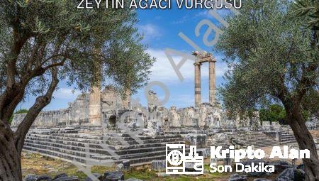 Didim’in Yeşil Mirası: Başkan Gençay’dan Zeytin Ağacı Vurgusu