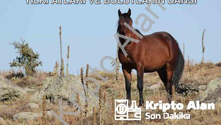 Afyonkarahisar’da Büyüleyen Manzara: Yılkı Atları ve Bulutların Dansı