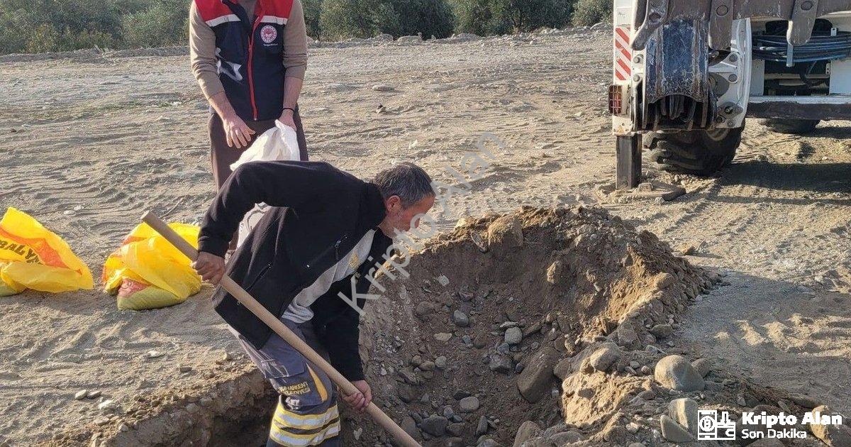 "Buharkent’te Tarımsal Kalkınma Hamlesi: İlek Bahçesi İçin Toprak Analizi Başladı" başlıklı haber iç