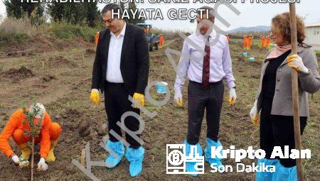 Dalaman’da Mahkumlara Tarımsal Rehabilitasyon: Sakız Ağacı Projesi Hayata Geçti