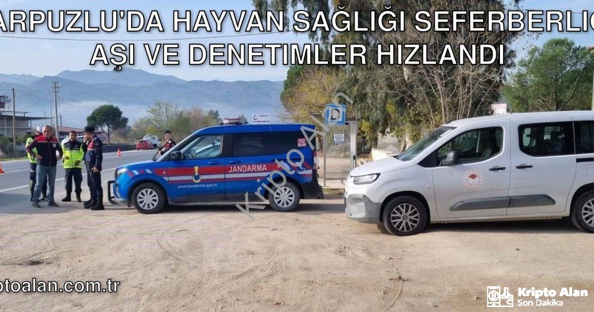 "Karpuzlu'da Hayvan Sağlığı Seferberliği: Aşı ve Denetimler Hızlandı" başlıklı haber için fotorealis
