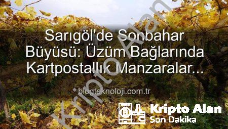 Sarıgöl’de Sonbahar Büyüsü: Üzüm Bağlarında Budama Mevsimi Başladı, Eşsiz Manzaralar Eşliğinde Çalışmalar Sürüyor