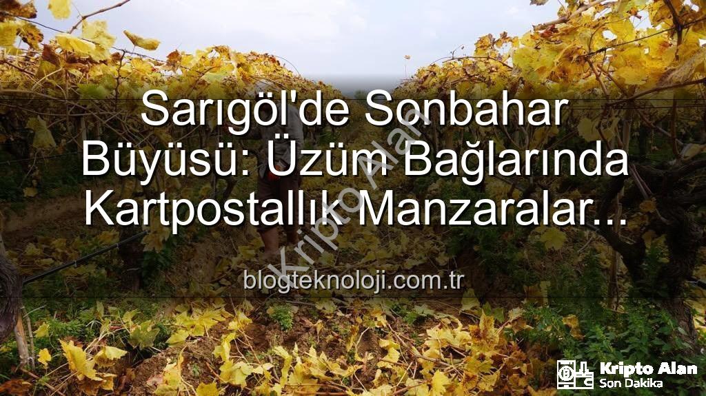 Sarıgöl'de budama - Sarıgöl'de Sonbahar Büyüsü: Üzüm Bağlarında Budama Mevsimi Başladı, Eşsiz Manzaralar Eşliğinde Çalışmalar Sürüyor