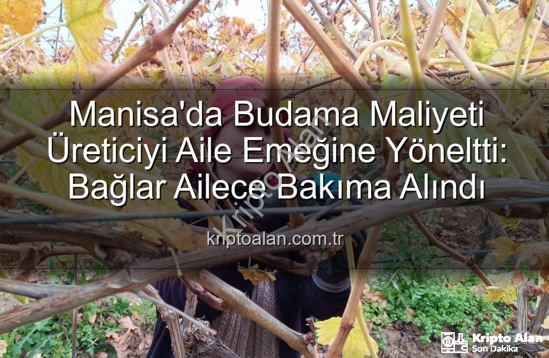 budama maliyeti - Manisa'da Budama Maliyeti Üreticiyi Aile Emeğine Yöneltti: Bağlar Ailece Bakıma Alındı