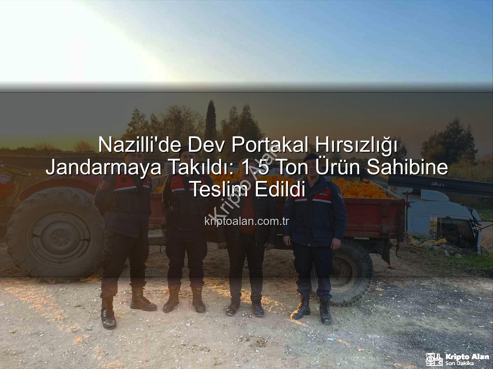 portakal hırsızlığı - Nazilli'de Dev Portakal Hırsızlığı Jandarmaya Takıldı: 1.5 Ton Ürün Sahibine Teslim Edildi