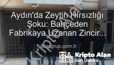 Bahçeden Fabrikaya Uzanan Zeytin Hırsızlığı: 400 Kg Ürün Kayboldu, 2 Şüpheli Yakalandı