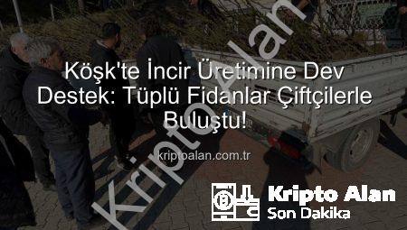 Köşk’te İncir Üretimine Dev Destek: Tüplü Fidanlar Çiftçilerle Buluştu!
