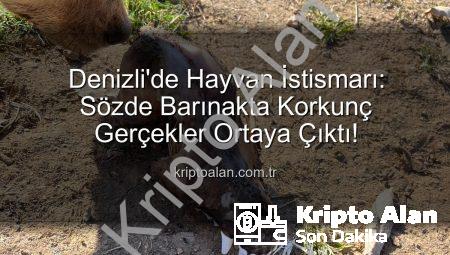 Denizli’de Hayvan İstismarı: Sözde Barınakta Korkunç Gerçekler Ortaya Çıktı!