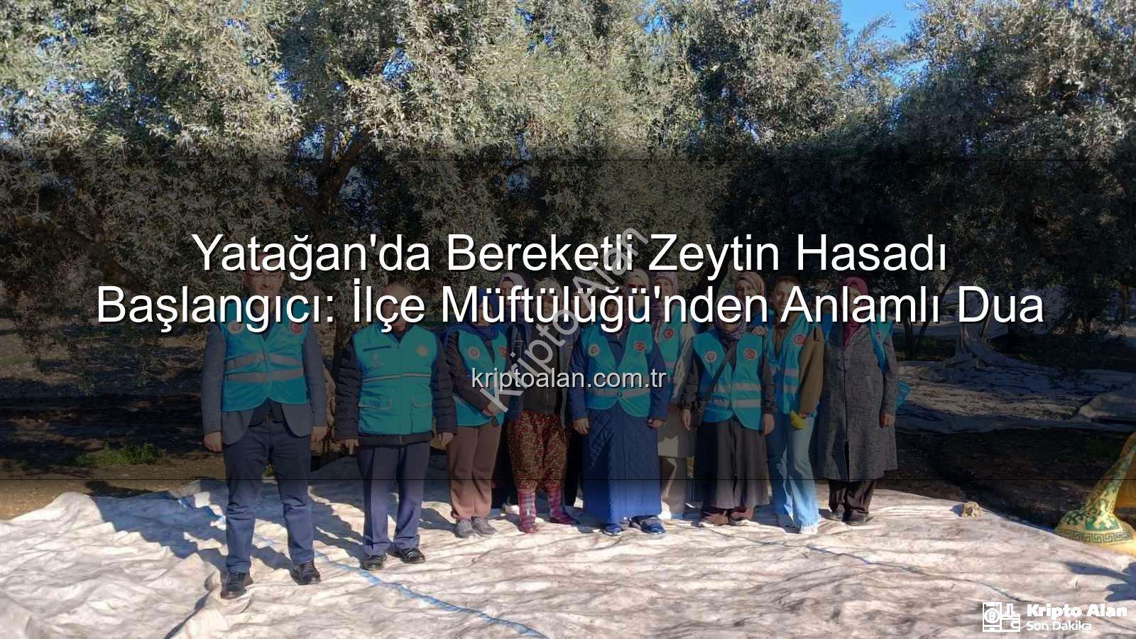 zeytin hasadı - Yatağan'da Bereketli Zeytin Hasadı Başlangıcı: İlçe Müftülüğü'nden Anlamlı Dua