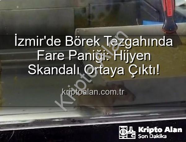 börek tezgahında fare - İzmir'de Börek Tezgahında Fare Paniği: Hijyen Skandalı Ortaya Çıktı!