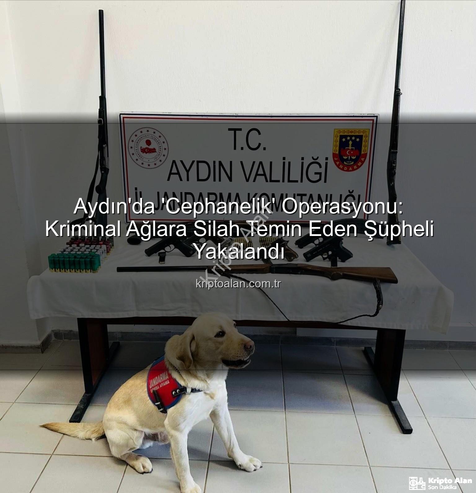 Aydın silah operasyonu - Aydın'da 'Cephanelik' Operasyonu: Kriminal Ağlara Silah Temin Eden Şüpheli Yakalandı