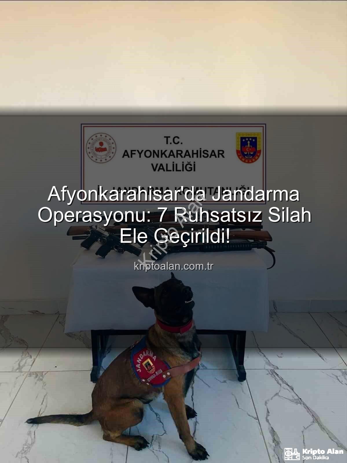 ruhsatsız silah operasyonu - Afyonkarahisar'da Jandarma Operasyonu: 7 Ruhsatsız Silah Ele Geçirildi!