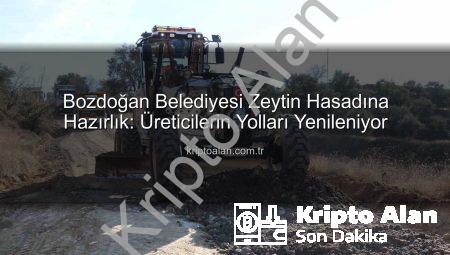 Bozdoğan Belediyesi Zeytin Hasadına Hazırlık: Üreticilerin Yolları Yenileniyor