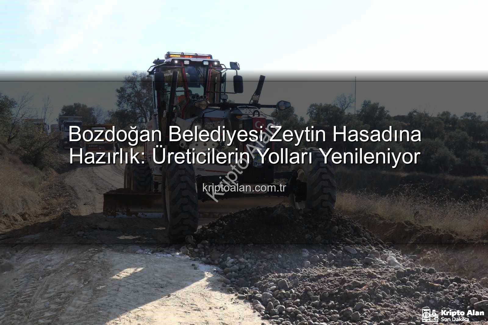 üretici yolları - Bozdoğan Belediyesi Zeytin Hasadına Hazırlık: Üreticilerin Yolları Yenileniyor