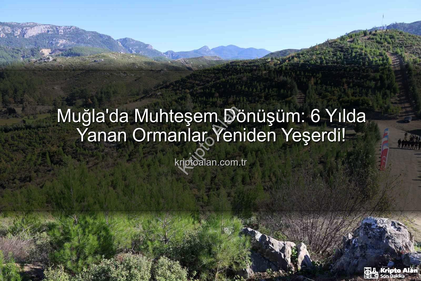 yanan ormanlar yeniden yeşerdi - Muğla'da Muhteşem Dönüşüm: 6 Yılda Yanan Ormanlar Yeniden Yeşerdi!