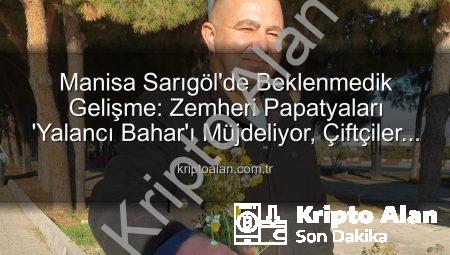 Manisa Sarıgöl’de Beklenmedik Gelişme: Zemheri Papatyaları ‘Yalancı Bahar’ı Müjdeliyor, Çiftçiler Endişeli